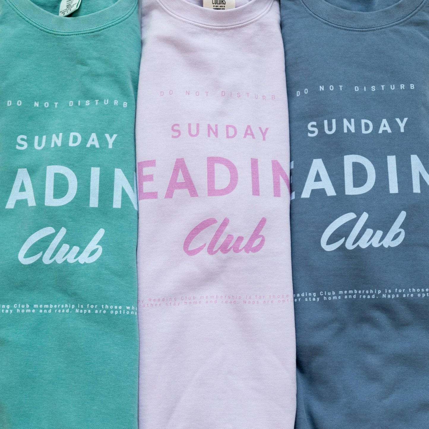 Sunday Reading Club COMFORT COLORS Crewneck - Paige Creating