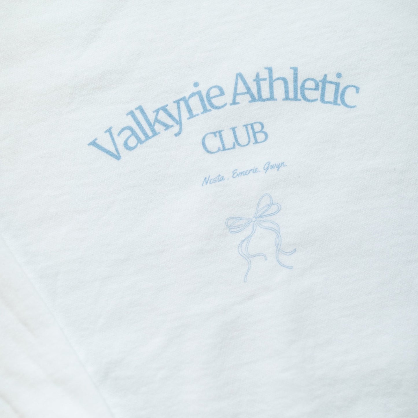 Valkyrie Athletic Club COMFORT COLORS Crewneck - Paige Creating