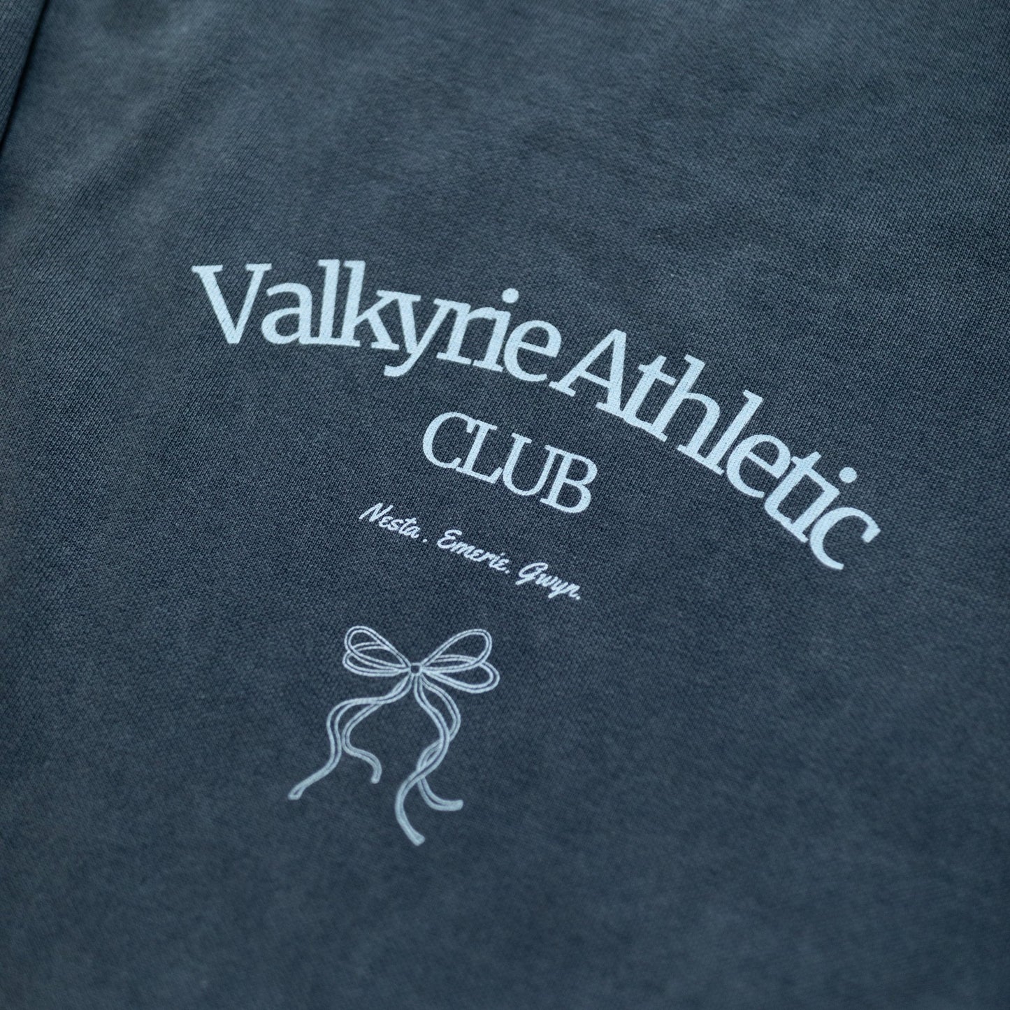 Valkyrie Athletic Club COMFORT COLORS Crewneck - Paige Creating